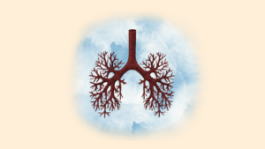 A stylized illustration of a respiratory tree resembling human lungs. The central trachea splits into two bronchi, branching out into numerous smaller airways, similar to tree branches, set against a soft blue watercolor background.